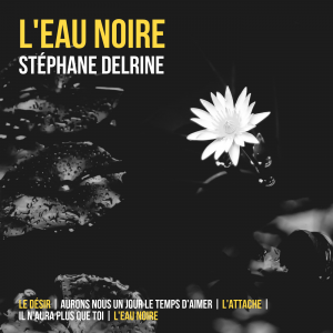 Album hors commerce volume 1 Stéphane Delrine